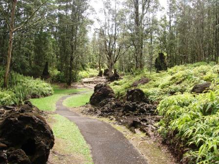 Lava tree path